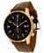Zeno Watch Basel Uhren P557BVD-Pgr-c1 7640172573204 Chronographen Kaufen