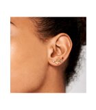 PDPAOLA  Ladies ear jewellery AR01-113-U