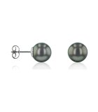 Luna-Pearls   ear jewellery earrings HS1054