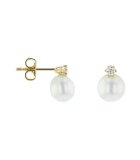 Luna-Pearls - 312.1550 - Ohrringe - 585 Gelbgold -...