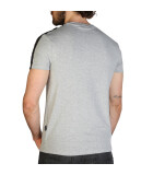 Aquascutum - Clothing - T-shirts - QMT017M0-08 - Men - darkgray,saddlebrown