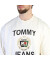 Tommy Hilfiger - DM0DM16376-YBH - Sweatshirts - Herren