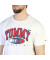 Tommy Hilfiger - DM0DM16407-YBR - T-Shirt - Herren