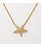 Paul Hewitt - PH-JE-1087 - Halskette - Damen - gelbgold-plattiert - Sea Star - 50cm