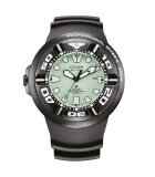 Citizen Uhren BJ8055-04X 4974374340405 Armbanduhren Kaufen Frontansicht