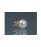 Luna-Pearls Ladies stud earrings O35-AE0033